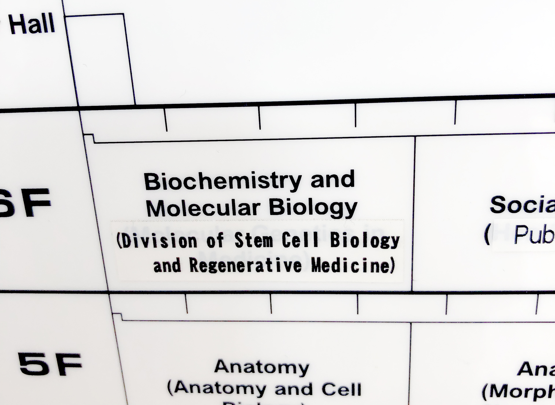 生化学・分子生物学講座 再生・修復医学部門（2019年当時）